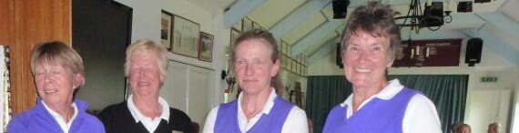 Australian Spoon Banner